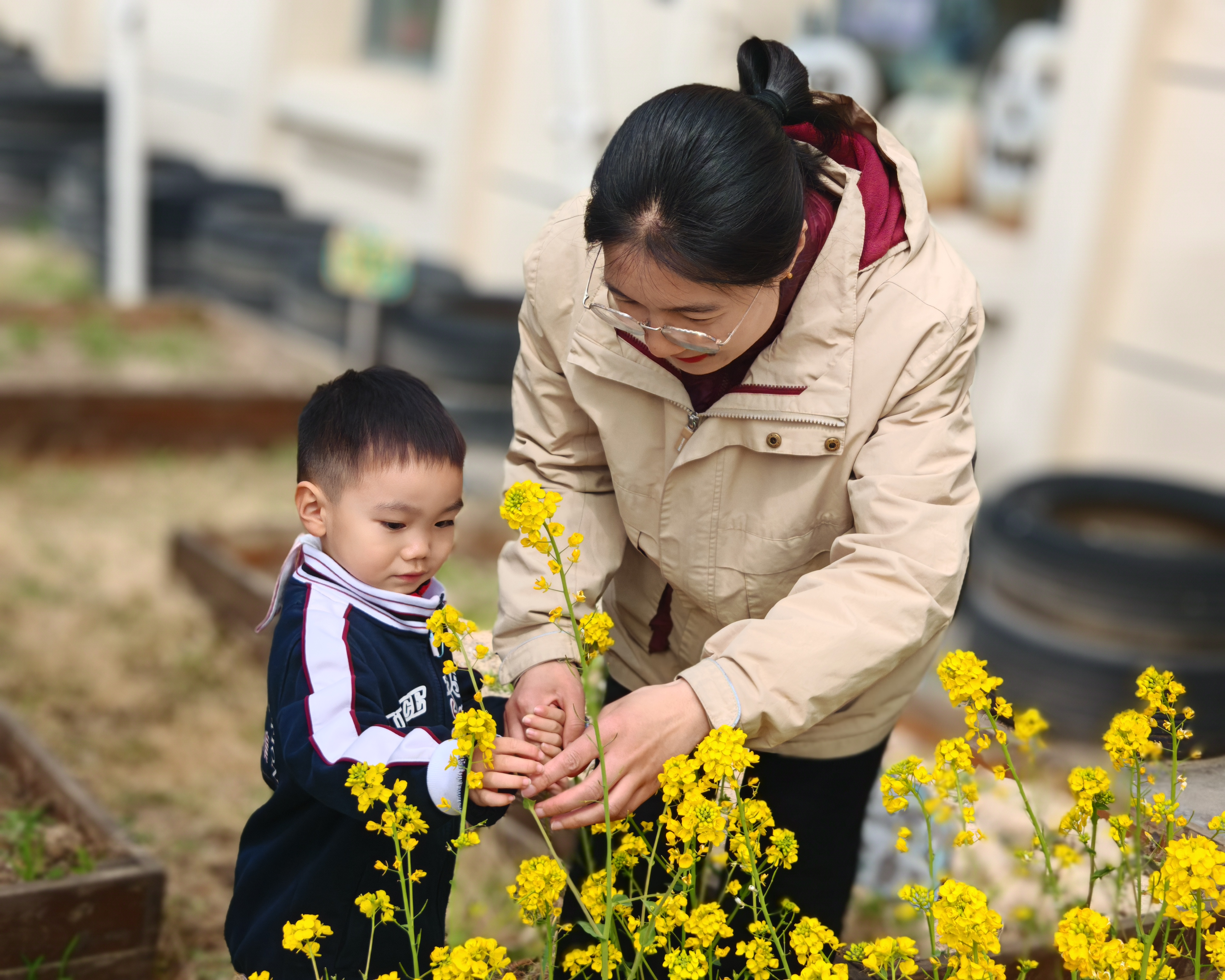 不慌不忙    慢慢长大