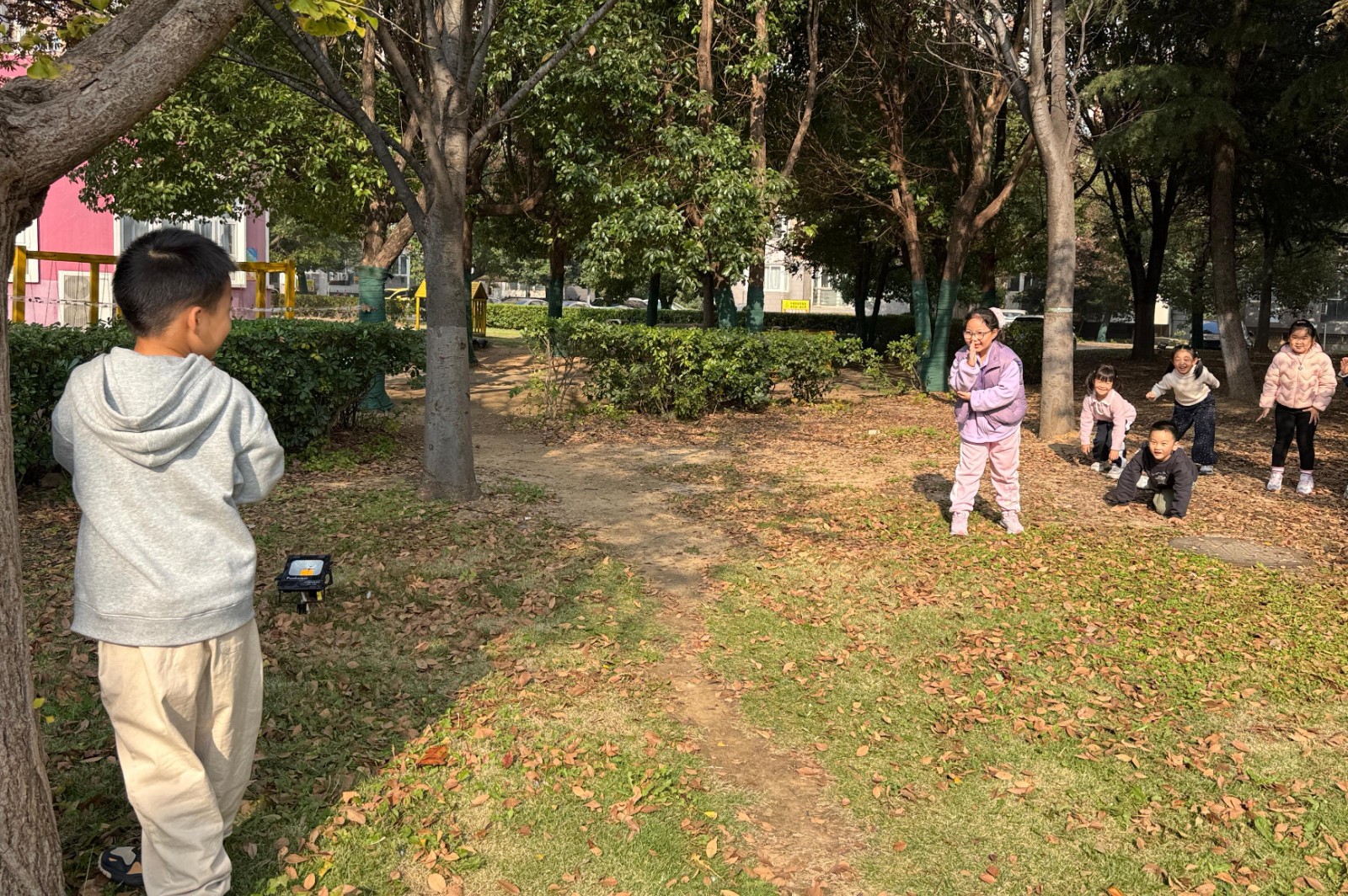 丛林小勇士的奇妙冒险